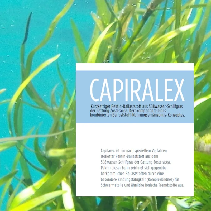 Capilarex, 10 Beutel à 1 g | Detox, Entgiftung