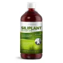 Silicium G7 Siliplant von Silicium Laboratories | Haut, Haare, Nägel u.a.