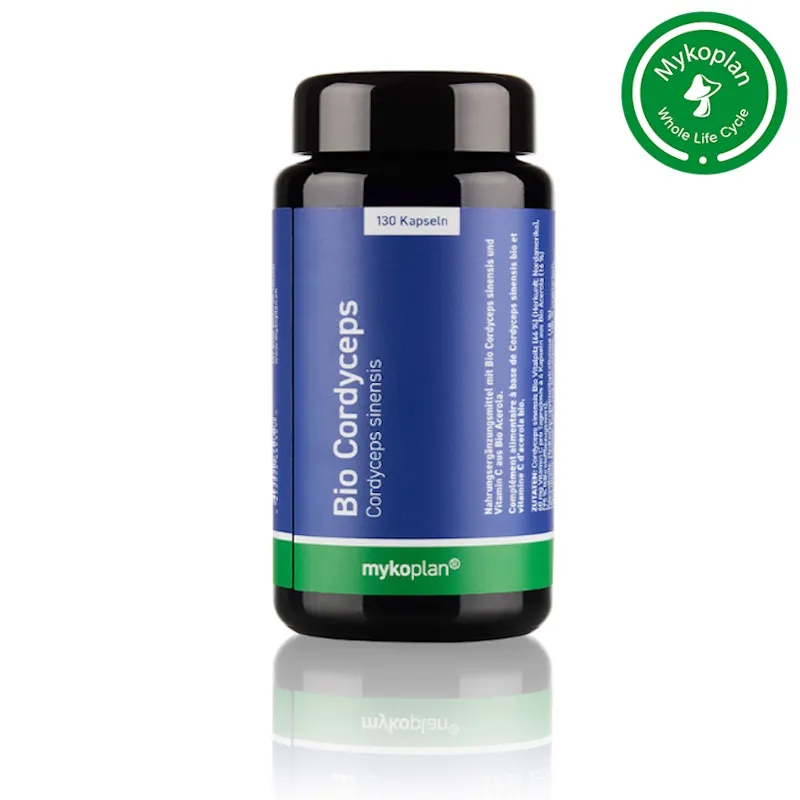 Organic Cordyceps Medicinal Mushroom from Mykoplan | Stress Resistance, Mood, Cell Protection