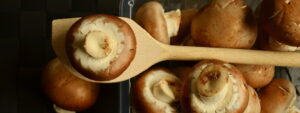 champignons-pilze-rezept