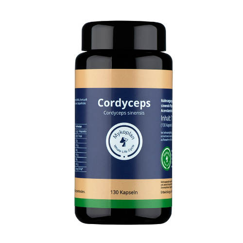 produkt_cordyceps-vitalpilz