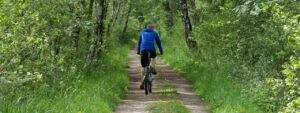 radfahren-frühling